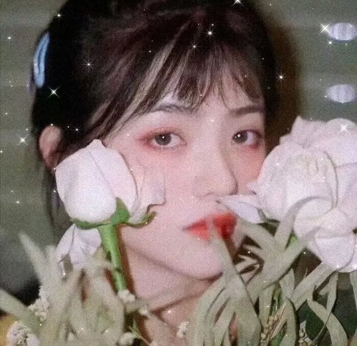 黑森林
