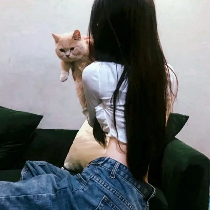 小乌龟福兰克林